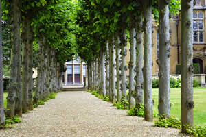 Estate Administration Attorneys Slinger